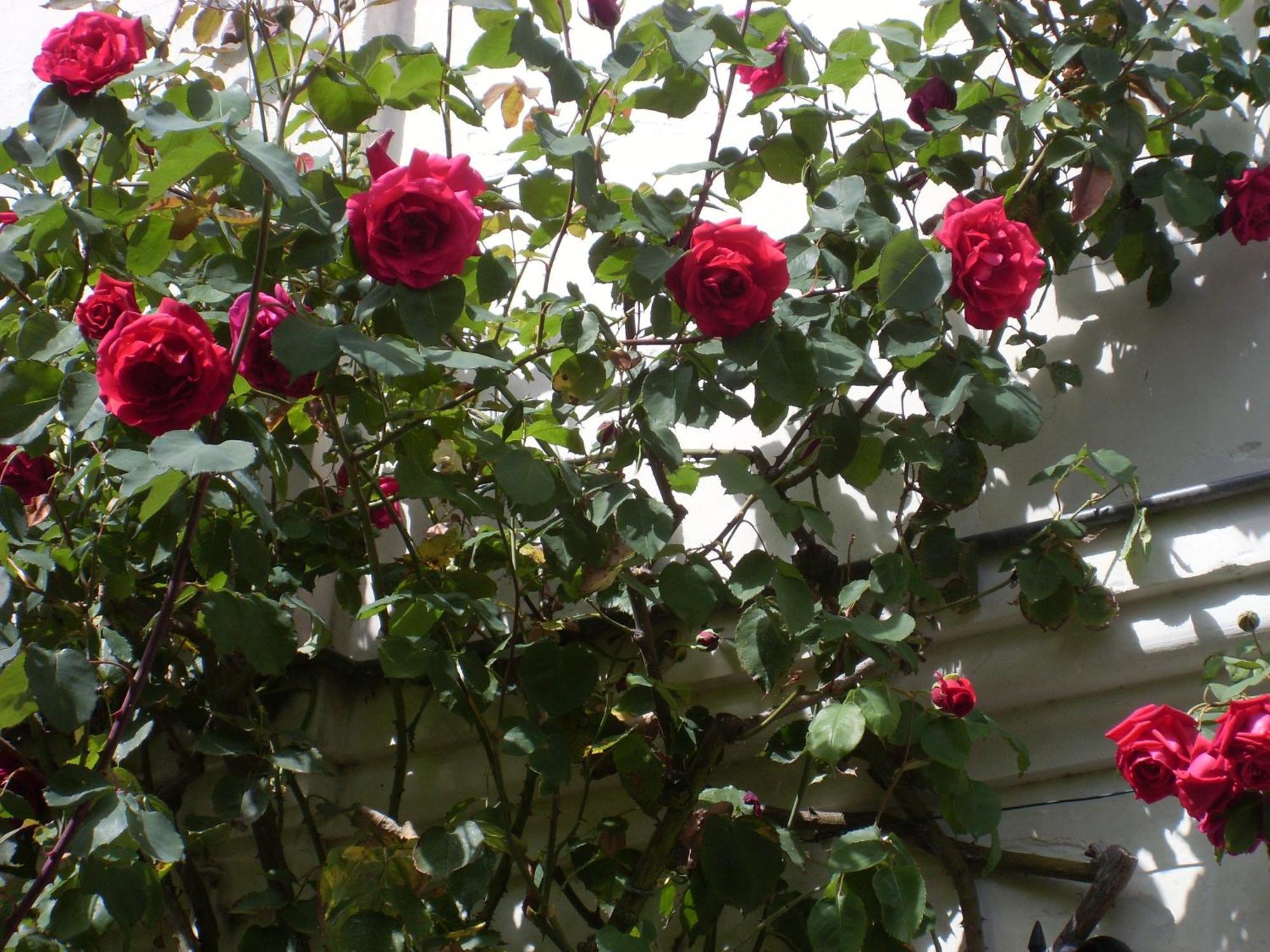 La Heraudiere Bed & Breakfast Tours Ruang foto