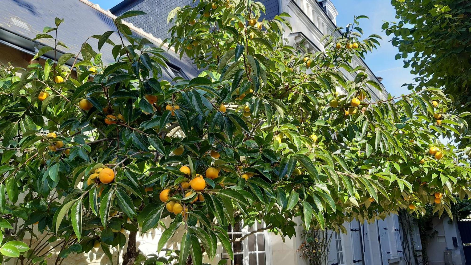 La Heraudiere Bed & Breakfast Tours Bagian luar foto